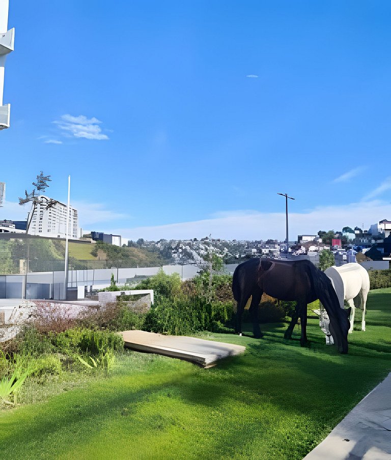 1501,Ambiente encantador