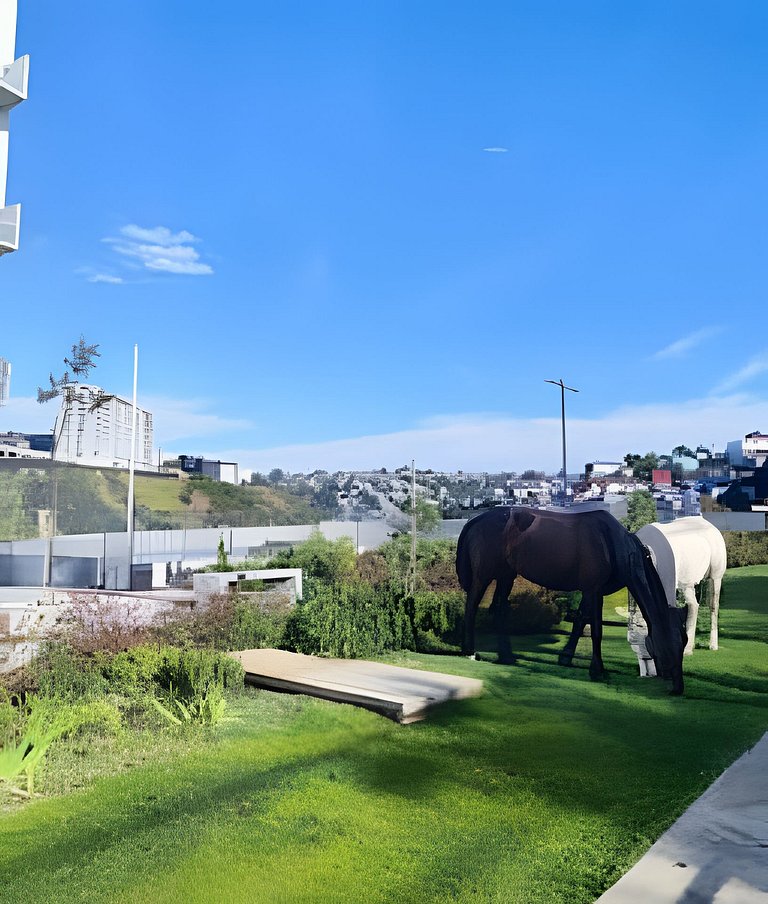2007 ,Depto NUEVO! con terraza y vista al mar